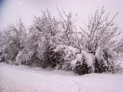 L’hiver peut aussi paraître romantique ; photo prise par Khaled