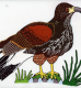 birds_858_69