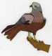 birds_902_32