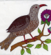 birds_903_39