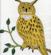 birds_905_45