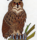 birds_906_56