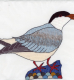 birds_909_39