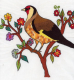 birds_910_40