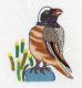 birds_930_25